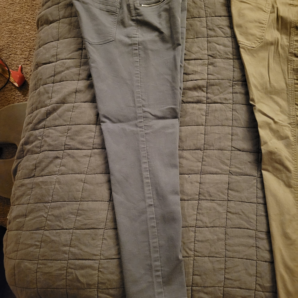Democracy Charcoal Pants
